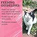 Purina Beyond Grain Free, Natural, High Protein Pate Wet Cat Food, WILD Salmon, Liver & Arctic Char - (12) 3 oz. Cans