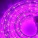 LampLust 24 Ft. Plugin Rope Lights, 287 Purple LEDs, Connectable, Dimmable, Waterproof, Indoor/Outdoor Use, Ideal for Backyards, Weddings and Christmas Decor