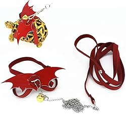 Turtle Harness and Leash with Wings Tortoise Leash