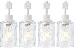 AIBISOD 4 Pack H Track Lighting Heads - Modern Track Heads for Kitchen, E26 Track Light Fixtures with Clear Hammered/Water Ripples Glass Shade, Compatible with H-Track Rail (White, No Bulbs)