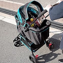 PETIQUE Swift- Black