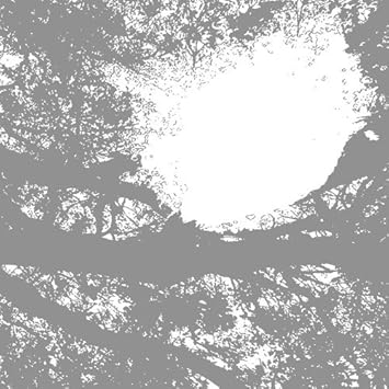 Comets On Fire Field Recordings From The Sun Amazon Com Music