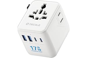 DECQLE Universal Travel Adapter, International Travel Plug Adapter with 2 USB-C ＆ 2 USB-A Ports, with Extra 2 Prong AC Outlet All in One Portable Socket, for USA, UK, EU, AU ＆ 224+ Countries (White)