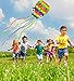 Giant Octopus Kite for Kids and Adults - Large Rainbow Easy Flyer with 157-Inch Long Tails Prefect Outdoor Beach Toys Present Idea for Birthday