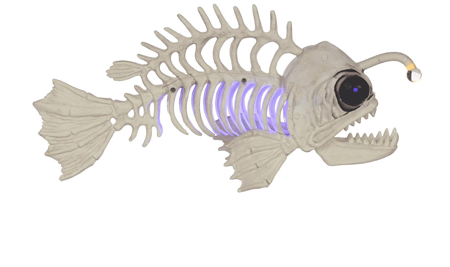 Halloween Fish Skeleton 2022 Amazon Com Crazy Bonez Light Up Deep Sea Fish Industrial Scientific