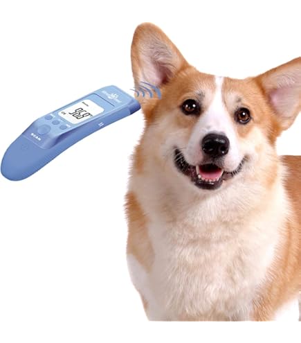 ABOOFAN 1 Set Pet Small For Pets Animal Dog Ear Temperature Accurate Temperature Detection Digital Dogs Cats Plastic Forehead Major Baby