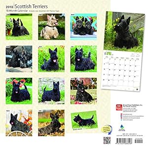 Scottish Terriers 2018 12 x 12 Inch Monthly Square Wall Calendar, Animals Dog Breeds (Multilingual Edition)