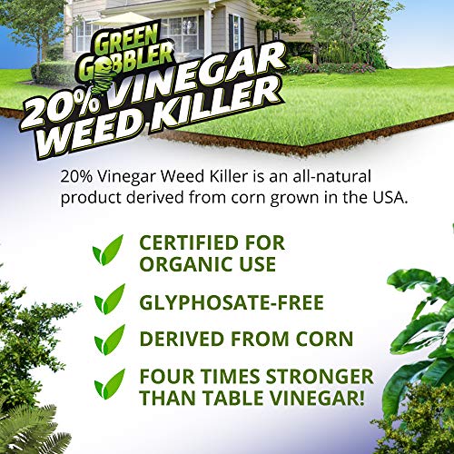Green Gobbler 20 Vinegar Weed & Grass Killer Natural and Organic Weed & Grass Killer 5