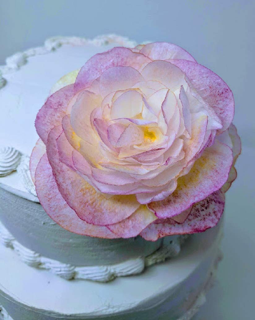 Multiple Petals Realistic Technique. Edible Rice Paper Flowers for Cake Topper Large Size