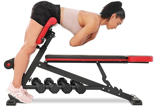 FLYBIRD in Workout Bench, Roman Chair, Weight Bench and Sit Up