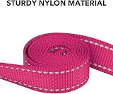 Taglory Dog Leash Small Medium Reflective Padded Handle 2cm x 120cm Hot Pink view 3