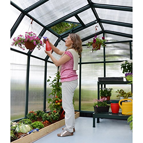 Rion Palram - Canopia Hobby Gardener 8' x 8' Greenhouse - Thumbnail 2