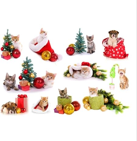 Chat 3d Chien Noel Verre Sticker Mural Dessin Anime Chaton Decoration De Vitrine De Noel Fenetre Bricolage Amazon Fr Bricolage Chat 3d Chien Noel Verre Sticker Mural Dessin Anime Chaton Decoration De Vitrine De Noel Fenetre Bricolage Amazon Fr Bricolage