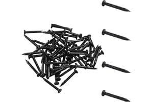 BokWin 60 Pack 0.79 Inch (20mm) Hardware Nails - Carbon Steel Masonry Nails with Pointed Tip for Wood, Concrete & Hanging | Heavy Duty Black Cement for Frames, Plaster & DIY Projects