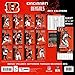 Turner Licensing Sport 2017 Cincinnati Bengals Team Wall Calendar, 12