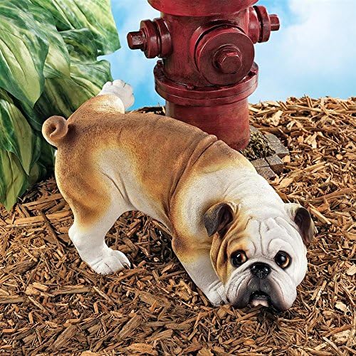 Madison Collection Good Dog Gone Bad Peeing Pug