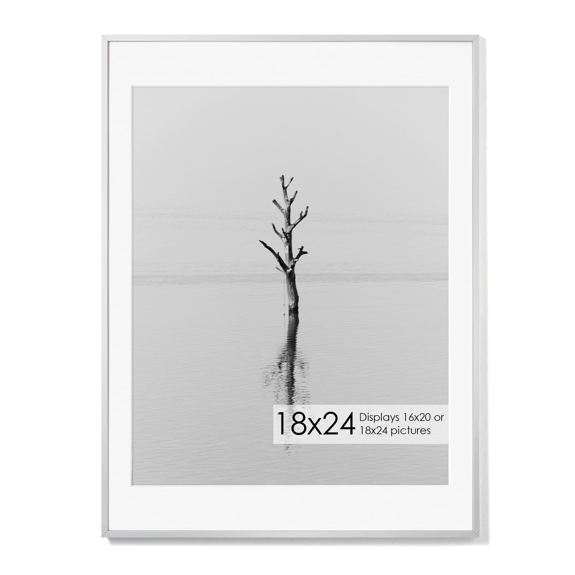 Photo 1 of Fun Memories 18x24 Aluminum Poster Frame, 18 x 24 inch Metal Picture Frames with Real Glass Front, Displays 16x20 Photos with Mat or 18x24 Images without Mat - Sliver - Set of 1