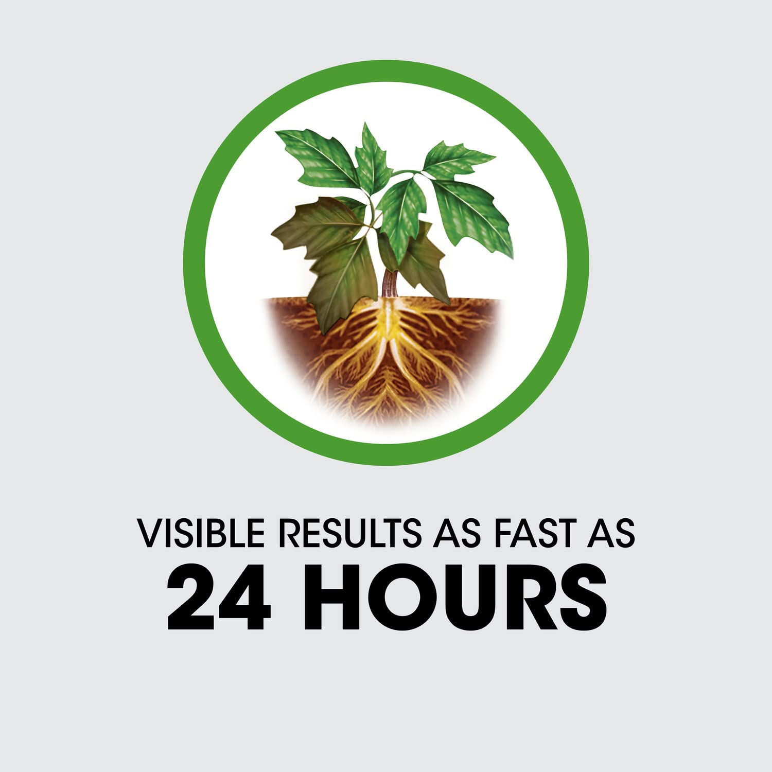 Roundup ReadyToUse Poison Ivy Plus Tough Brush Killer, for Weeds