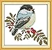 Maydear Cross Stitch Kits Stamped Full Range of Embroidery Starter Kits for Beginners DIY 11CT 3 Strands - Little Bird 9×9(inch)