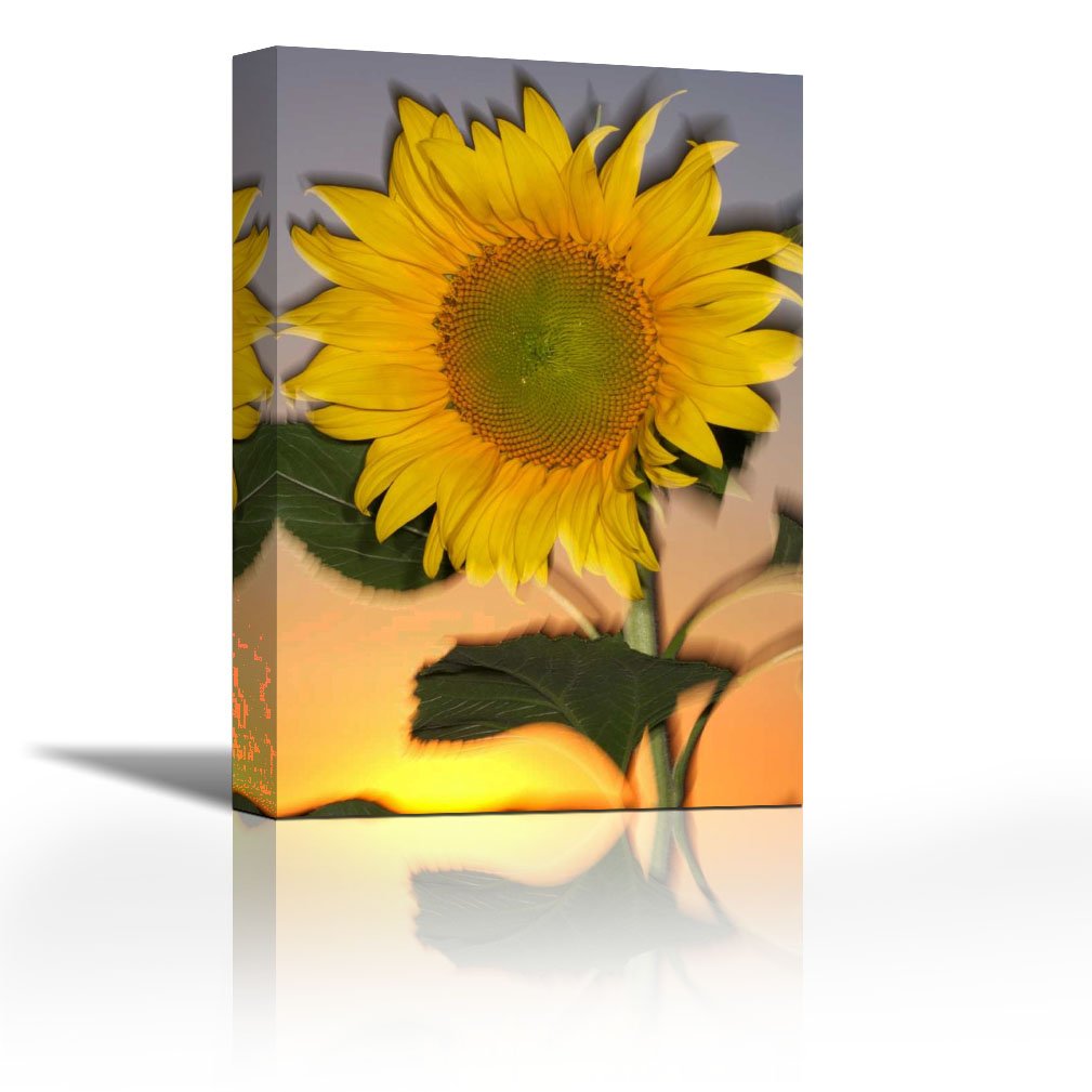 Buy Karmakara Ca Hybrid Sunflower Blowing In The Wind At Dusk