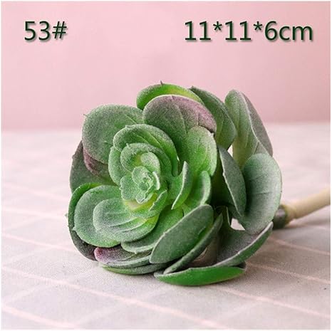 Amazon Co Jp Hayq 家の庭の装飾人工植物お祭り パーティー用品多肉植物植物フラワーアレンジメントアクセサリーフェイク植物 Color Burgundy Home Kitchen Amazon Co Jp Hayq 家の庭の装飾人工植物お祭り パーティー用品多肉植物植物フラワーアレンジメントアクセサリーフェイク植物 Color Burgundy Home Kitchen