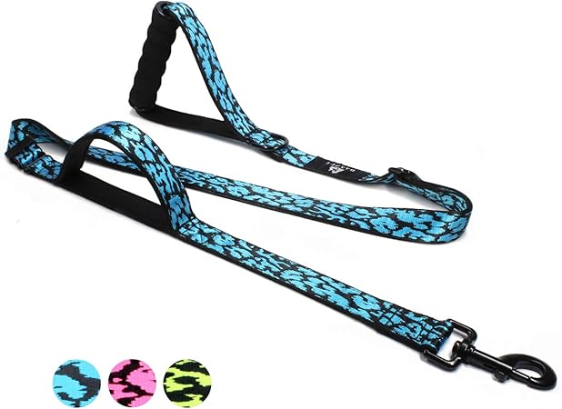2 handle dog leash