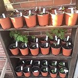 KINGLAKE 50 Pcs Plastic Plant Pots 15 cm Seedling Transplant Nursery Pots view 7