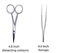 19 Piece Dissecting Kit Including