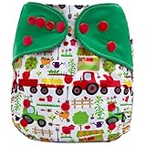 HappyEndings Bamboo Charcoal AI2TM All-In-Two Cloth Diaper / Snap-in Insert 