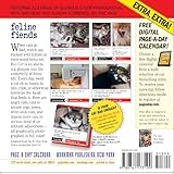 Image de Bad Cat 2014 Page-A-Day Calendar