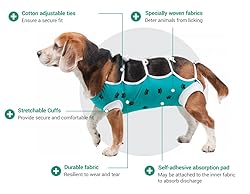 E-Collar Alternative for Cats and Dogs Designed to