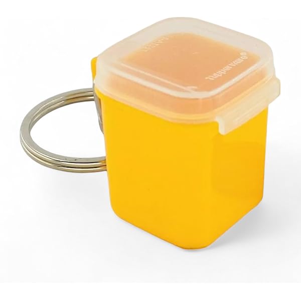 Tupperware Key Chain Ventsmart Fridgesmart Lime Aid Green Keychain