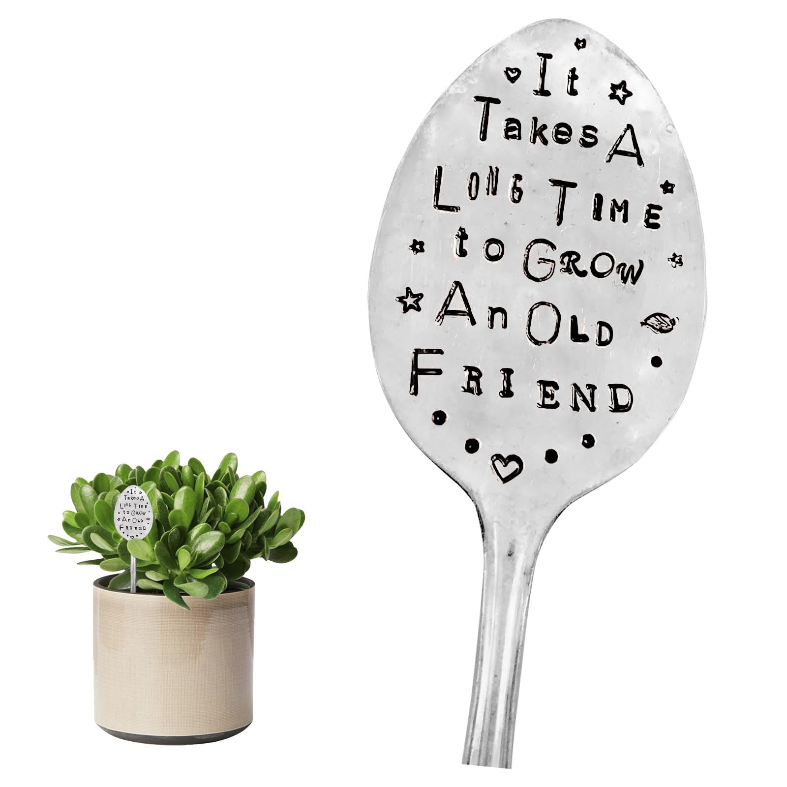 GWAWG 1PCS Garden Marker Friendship Gift, Silver Stamped Spoon Plant Markers, Funny Humor Plant Label Gift, Creative Plant Markers Spoon for Plants, Herbs or Flowers (It Takes A Long Time to Grow)