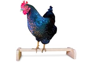 BACKYARD BARNYARD Single Bar Chicken Roosting Perch Made in The USA!