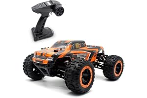 Losbenco 1:16 4X4 RTR Brushless Fast RC Cars for Adults, Max 42mph Hobby Electric Off-Road Racing Buggy, 4WD Offroad Remote Control Car with 2 Li-Po Batteries, Monster RC Truck for Boys