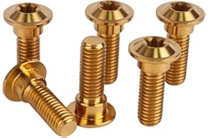 UHDFBDHF 6Pcs Titanium Bolt M8 x 20mm 25mm Motorcycle Rear Brake Rotor Screw (Gold, M8x25mm)