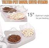 Speedy Panther 3-in-1 Cat Food and Water Bowl Set with Stand view 2