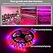 Plant Grow LED Light, OUEVA 16.4ft/5M 5050 SMD Waterproof Full Spectrum Red Blue 4:1 Growing Lamp for Aquarium Greenhouse Hydroponic Plant, Garden Flowers Veg Grow Light