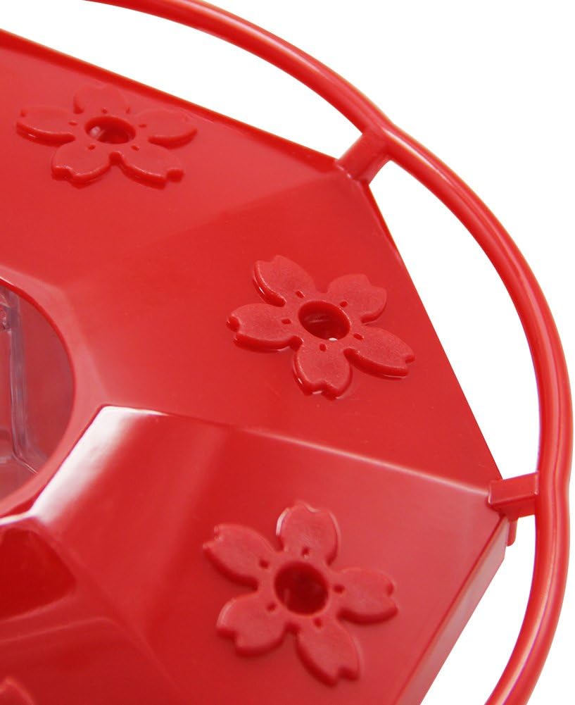 Juegoal 12 oz Hanging Hummingbird Feeder with 8 Feeding Ports : Garden & Outdoor