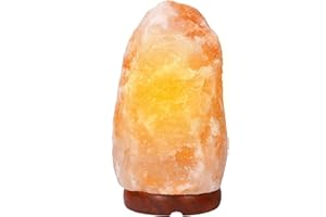 Wrcevtor Himalayan Salt Lamp, Salt Rock Lamp with Dimmer Switch, Natural Crystal Rock Night Light for Decoration and Gifts - All Natural and Handcrafted with Wooden Base, 6.5-7inch (Art Deco)