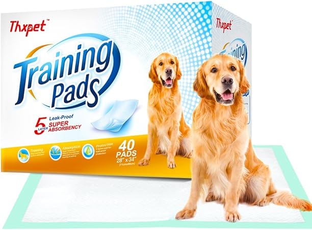 holistic select dog food petsmart