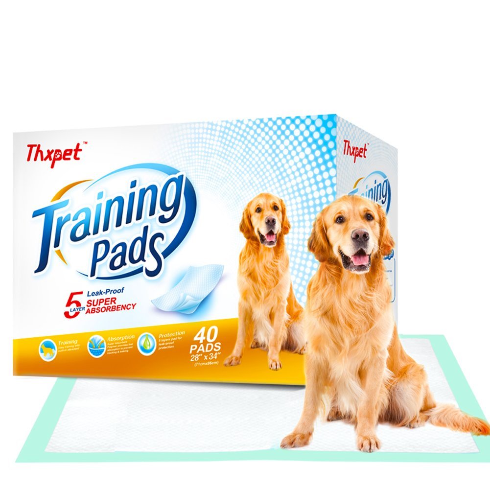 Best how to make a dog carpet mill