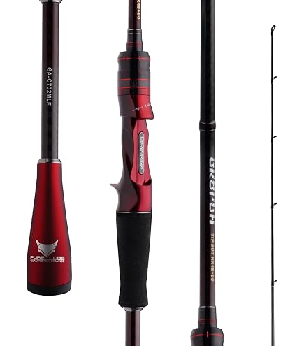 Amazon.com: PURELURE Realm Medium Heavy Fishing Rod 6'10'', Fast