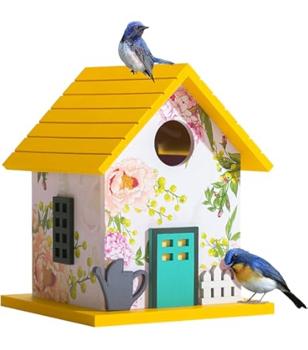 Amazon.com : Vivid Arts D-Letterbox Birdhouse - Red : Patio, Lawn