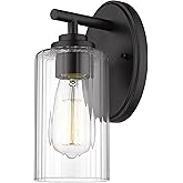 Innovations Ice 1-Light Dimmable Bathroom Vanity Light Fixture