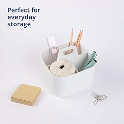 BLUE GINKGO Multipurpose Caddy Organizer