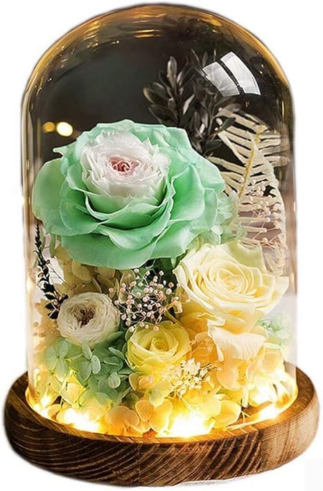Amazon Co Jp プリザーブドフラワー バラ 花 永遠の花 暗くなると光る ギフト 妻 彼女への最高の贈り物 母の日 プロポーズ 記念日 結婚祝い 誕生日 ラッピング済み 手作り メッセージカード付き Ledライト付き Sathiyo ホーム キッチン