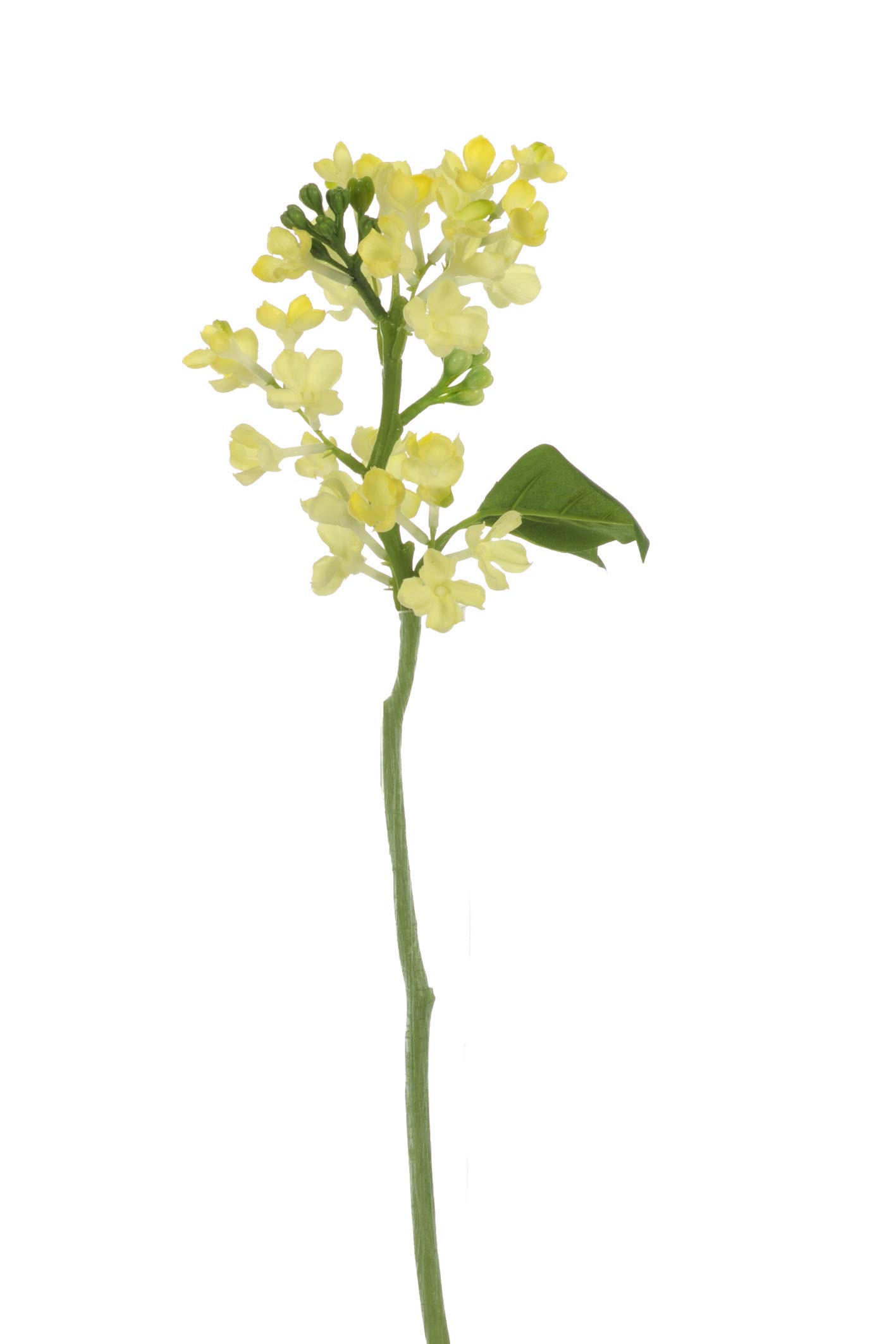 Express Flor Artificial Flowers, Lemon Tree, 33cm