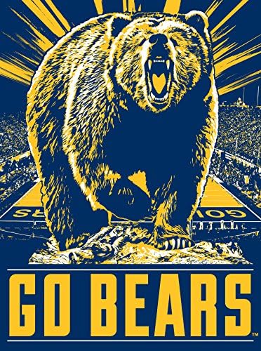 Cal Golden Bears Go Bears 24x18 Football Poster Authentic Team Spirit Store Product
