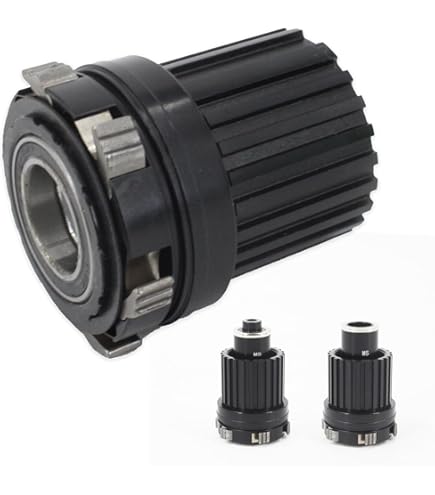 Amazon.com : DT Swiss 240 EXP 6B-Disc Rear Hub, 28h, 12x148mm, HG+